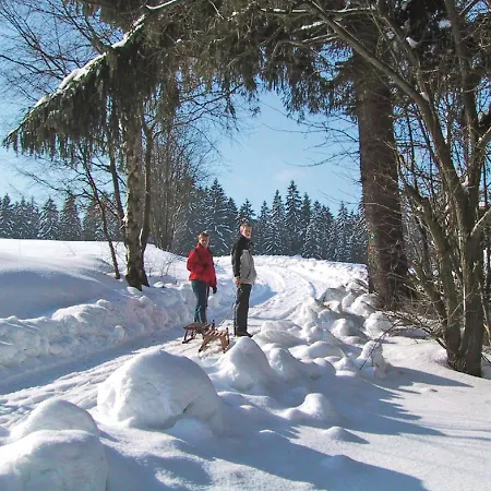 Landhaus-pension Zum Waffenschmied 2* Brand
